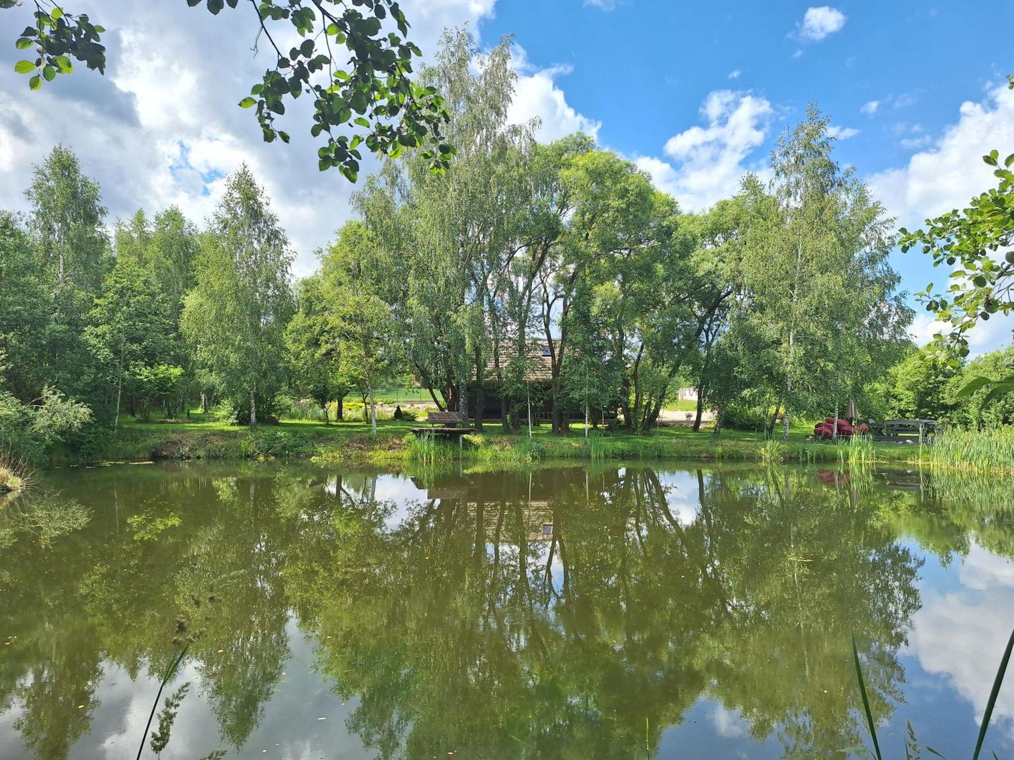 Akmeninis Bebras Vila Zemaiteliai Exterior foto